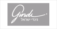 שירותי איטום לחברת גינדי ישראל